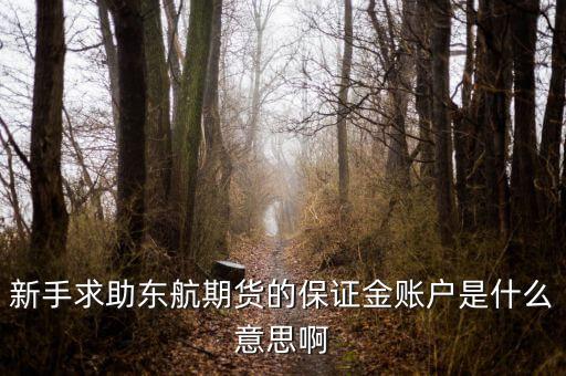 金保證財富管理和東航什么關(guān)系，國鼎旗下的可溯貸資金安全嗎