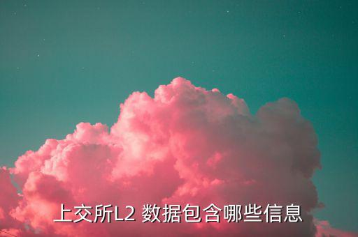 股票l2什么意思，股票標(biāo)示 融 深股通 L1是什么意思