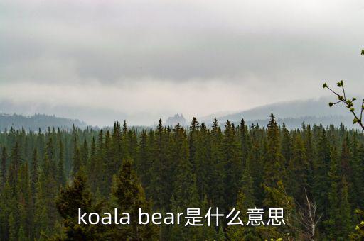 牛壓熊什么意思，tady bear是什么意思