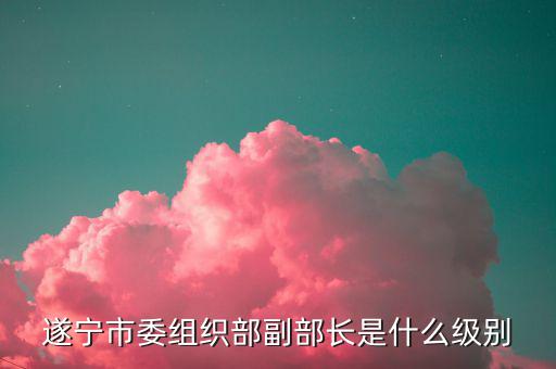 隆國強什么級別，中林集團董事長是什么行政級別