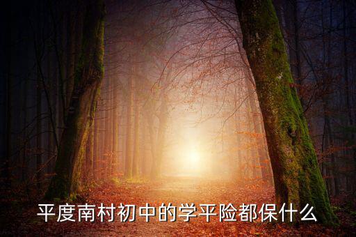學平險保些什么，中國人壽60元的學平險保什么