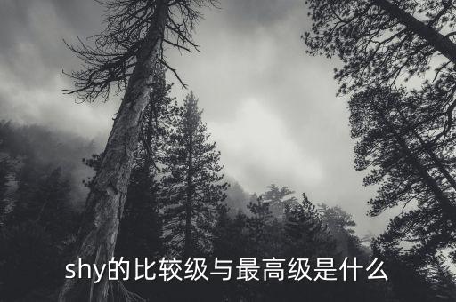 50etf期權(quán)是什么，汽車導航canl和canh是什么