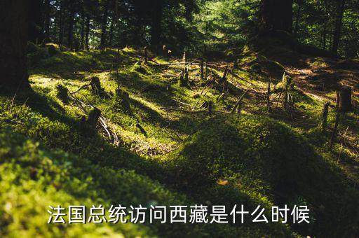 默克爾什么時間訪華，法國總統(tǒng)訪問西藏是什么時候