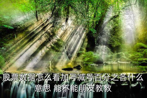 證券如何看漲停加減什么意思，漲停時(shí)買一后邊的數(shù)加減是什么意思