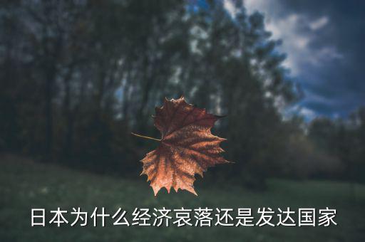 日本經(jīng)濟(jì)為什么會(huì)衰落，進(jìn)入20世紀(jì)90年代后引起日本經(jīng)濟(jì)長(zhǎng)期衰退的主要原因是什么