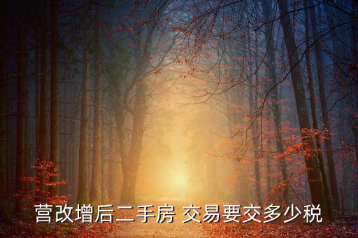 二手房營改增后買賣要上什么稅，營改增后二手房 交易要交多少稅