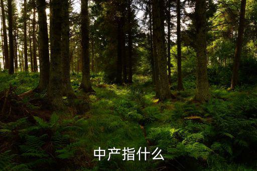 中產(chǎn)消費(fèi)什么，網(wǎng)易電商平臺帶給中產(chǎn)消費(fèi)者的核心價值是什么