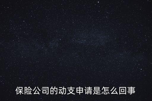 什么是動(dòng)支申請(qǐng)，怎么樣支申請(qǐng)