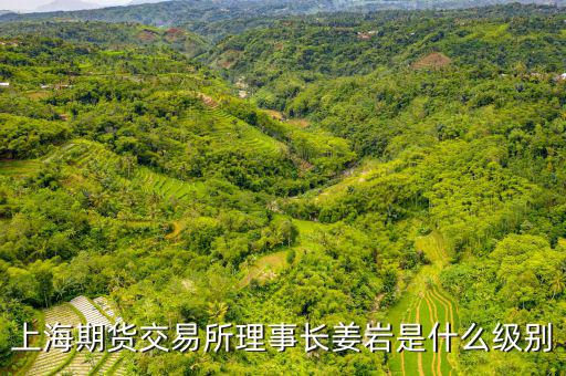 上交所理事長什么級別，上海期貨交易所理事長姜巖是什么級別