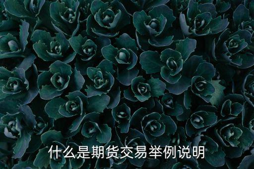 期權期貨是什么意思，期權與期貨是什么意思