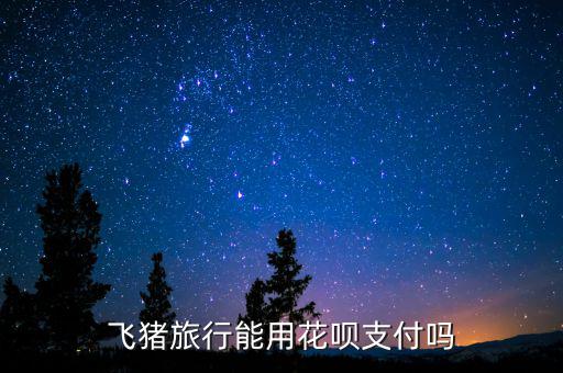 阿里巴巴abs什么時(shí)候推出的，交易貓可以用螞蟻花唄支付嗎
