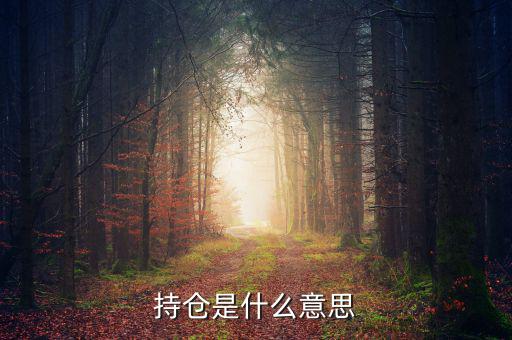 什么是買持倉(cāng)，持倉(cāng)是什么意思