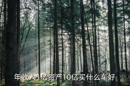 年收入1億資產10億買什么車好