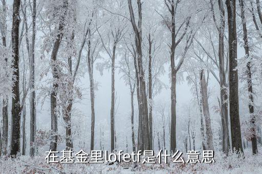 什么是etf，ETF 基金到底是什么東西