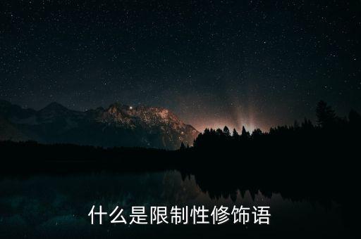 什么是限制性修飾語(yǔ)