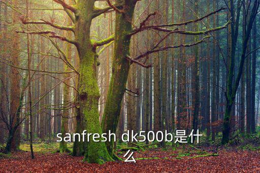 金鷹500b是什么，EOS 500B 是什么Rin的樂器