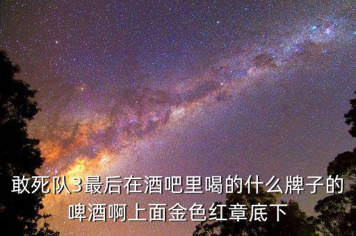 敢死隊(duì)3喝的什么啤酒，敢死隊(duì)3酒吧里吃的這是什么