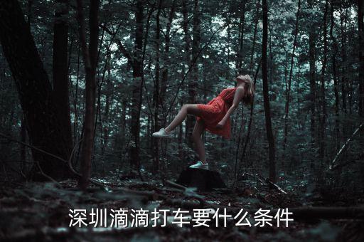 深圳交通滴滴有什么政策，申請深圳滴滴對司機(jī)有些什么要求嗎