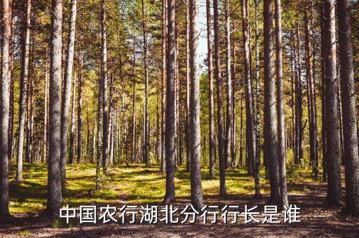中國農(nóng)行湖北分行行長是誰