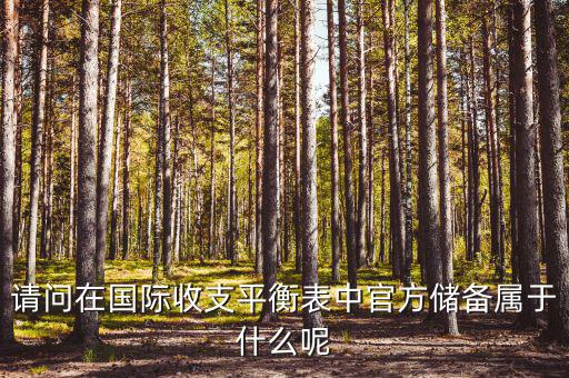 官方儲備資產(chǎn)包括什么，官方儲備資產(chǎn)包括固定資產(chǎn)嗎
