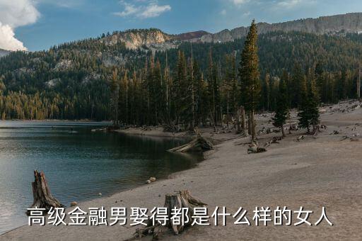 金融男喜歡什么樣的女生，高級金融男娶得都是什么樣的女人