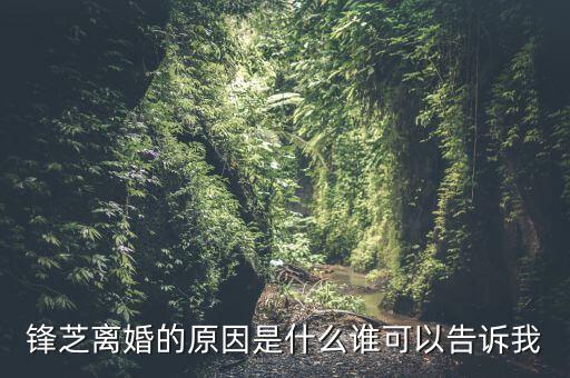 胡芝容為什么離婚，鋒芝戀離婚原因是為什么