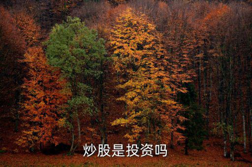 炒股算投資還是什么，炒股是投資嗎