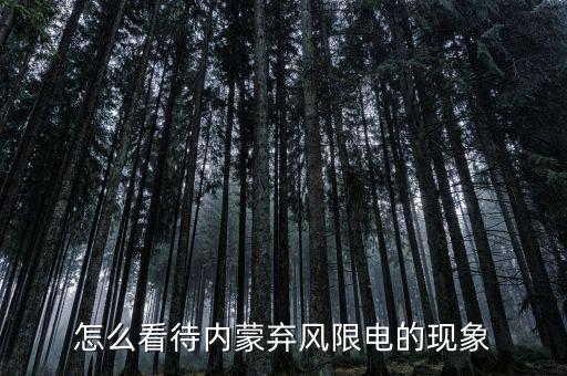 怎么看待內蒙棄風限電的現(xiàn)象