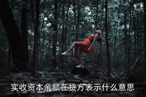 什么是資本余額，什么是資本性資金誰知道請告訴我謝謝