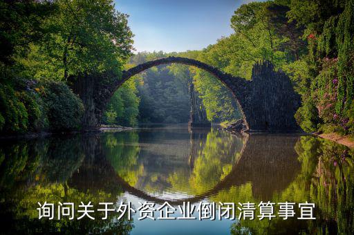 沈陽(yáng)投資公司跑路市政府什么解決，詢問關(guān)于外資企業(yè)倒閉清算事宜