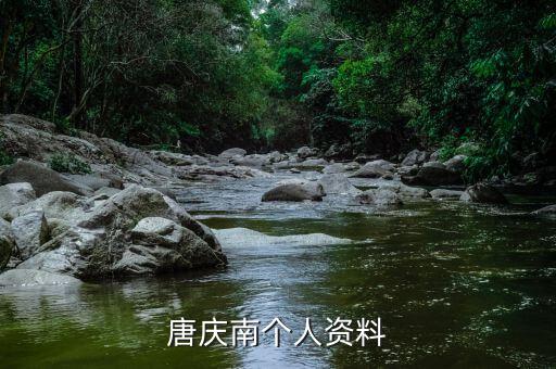 唐慶南為什么被逮捕，唐慶南被判刑