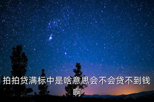 拍拍貨不滿標(biāo)什么意思，拍拍貸滿標(biāo)是什么意思