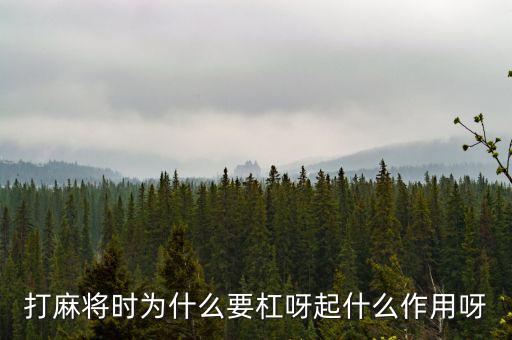 為什么要用杠桿，為什么有些杠桿要設計成費力的呢