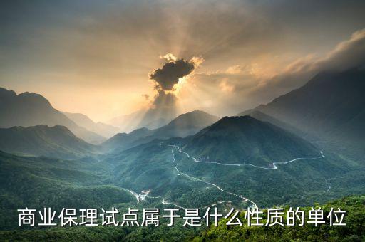 深圳商業(yè)保理協(xié)會是什么性質(zhì)，商業(yè)保理試點屬于是什么性質(zhì)的單位