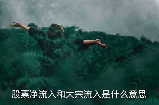 股票大宗流入是什么意思，股票凈流入額大宗流入什么意思