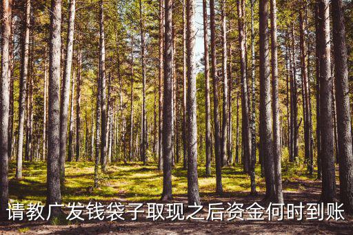 廣發(fā)錢袋子墊資什么時(shí)候，廣發(fā)錢袋子前天周末為什么沒有收益今天周一收益還沒出來