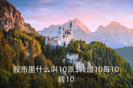 10送10派3是什么意思，10轉10派3是什么意思