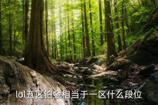 鉑金三什么水平，鉑金純度有幾個(gè)檔次
