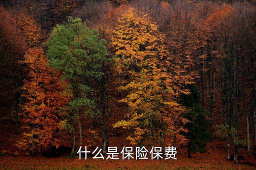 什么是保單保費(fèi)，什么是保險(xiǎn)保費(fèi)