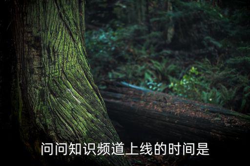 愛(ài)網(wǎng)貸平臺(tái)什么時(shí)候上線，問(wèn)問(wèn)知識(shí)頻道上線的時(shí)間是