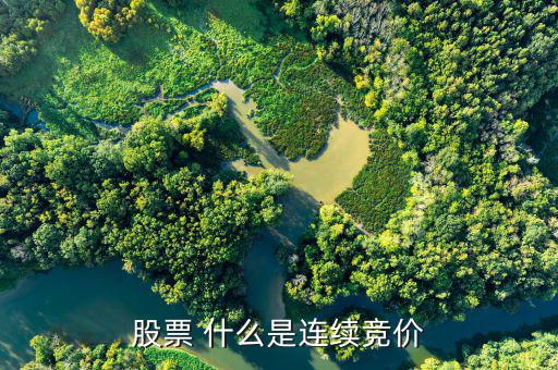 股票連續(xù)競價是什么意思，股票 什么是連續(xù)競價