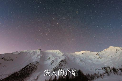 法人渠道是什么意思，法人的介紹