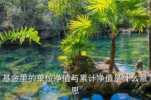 基金凈值和累計(jì)凈值是什么，基金里的單位凈值與累計(jì)凈值是什么意思