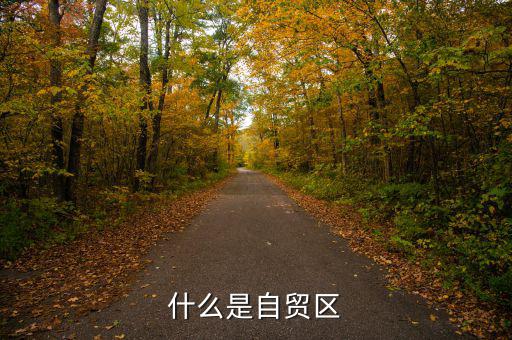 什么叫自貿(mào)區(qū)，什么叫自貿(mào)區(qū)