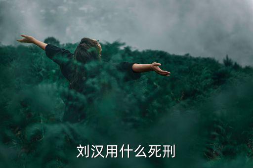 劉漢什么罪，劉漢用什么死刑