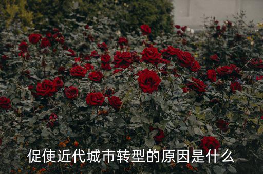 為什么城鎮(zhèn)化要轉(zhuǎn)型，促使近代城市轉(zhuǎn)型的原因是什么