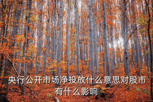 什么是央行凈投放，央行凈投放是甚么意思