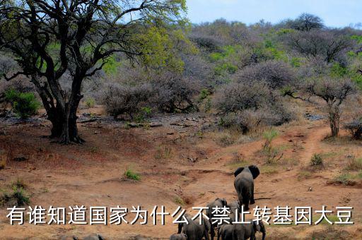 為什么不禁止轉基因食品，我國為什么不制止轉基因食品進口