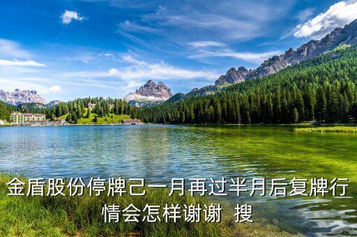 金盾股份停牌己一月再過半月后復(fù)牌行情會怎樣謝謝  搜