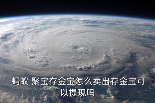 螞蟻聚寶中基金盈利怎么轉(zhuǎn)出,螞蟻財(cái)富如何賣出定存寶